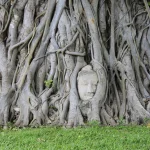 ワット・マハタート