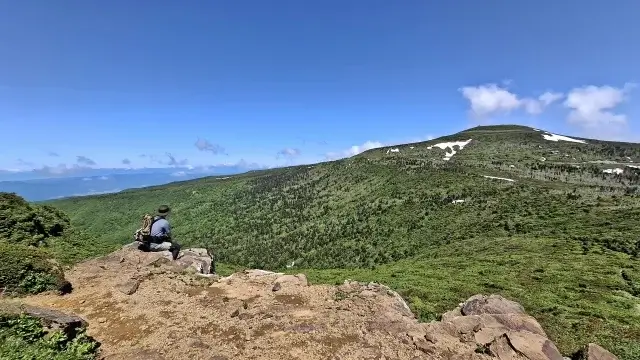 裏に道あり花の山